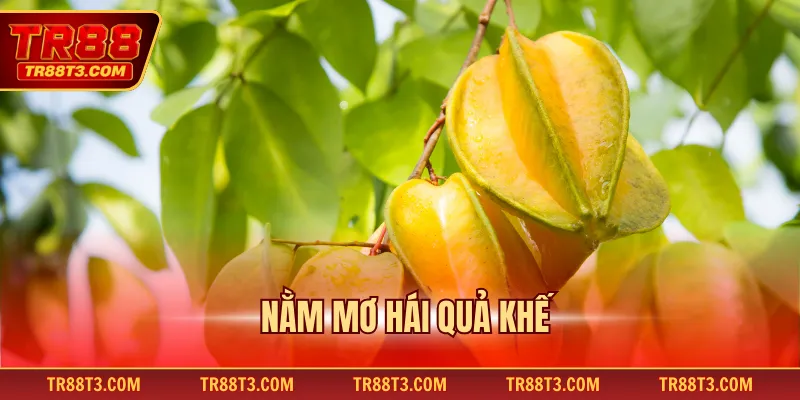 Nằm mơ hái quả khế