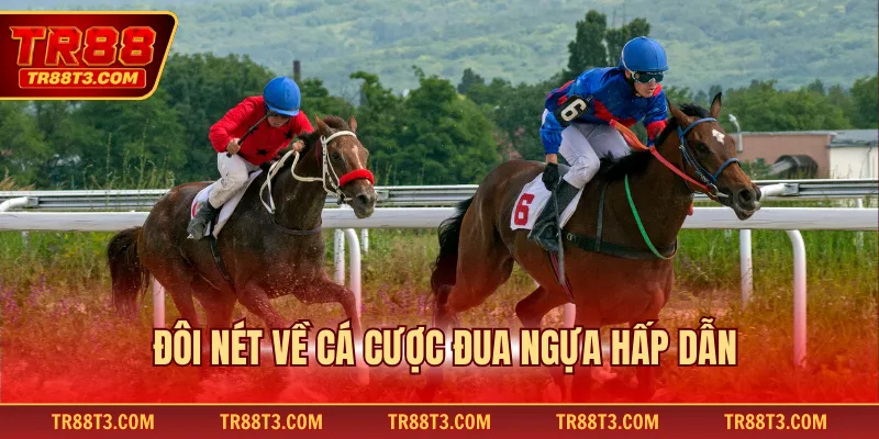 Đôi nét về cá cược đua ngựa hấp dẫn