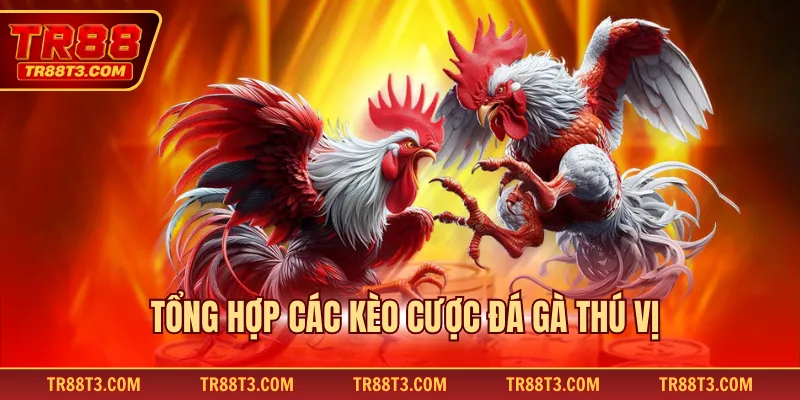 Tổng hợp các kèo cược đá gà thú vị